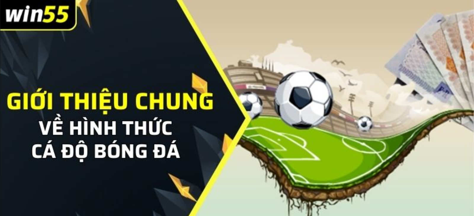 Vì sao nên chọn SBOBET Win55?